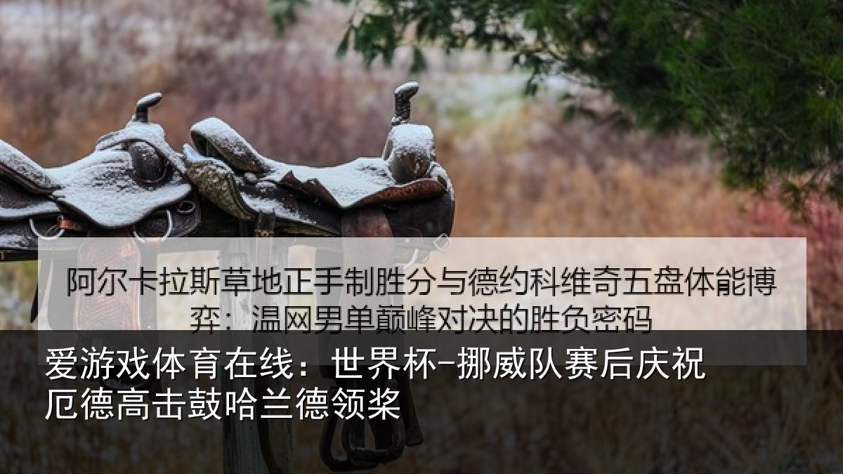 爱游戏体育在线：世界杯-挪威队赛后庆祝相关情况领桨