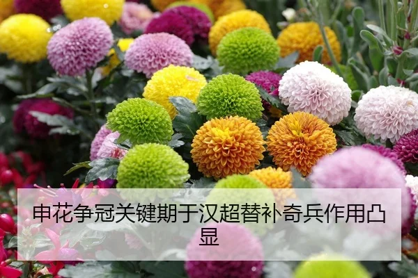 shen-hua-zheng-guan-guan-jian-qi-yu-han-chao-ti-bu-qi-bing-zuo-yong-tu-xian-2-440.jpg