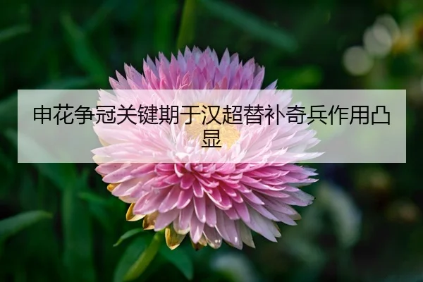 shen-hua-zheng-guan-guan-jian-qi-yu-han-chao-ti-bu-qi-bing-zuo-yong-tu-xian-3-428.jpg