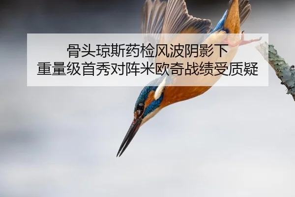 骨头琼斯药检风波阴影下 重量级首秀对阵米欧奇战绩受质疑